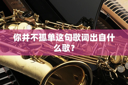 你并不孤单这句歌词出自什么歌？