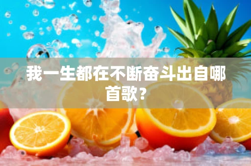 我一生都在不断奋斗出自哪首歌？