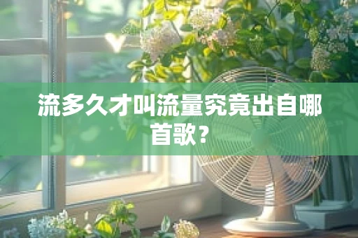 流多久才叫流量究竟出自哪首歌？
