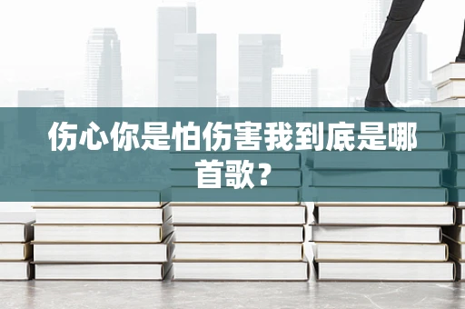 伤心你是怕伤害我到底是哪首歌？
