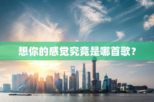 想你的感觉究竟是哪首歌？