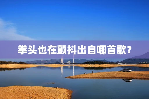 拳头也在颤抖出自哪首歌？