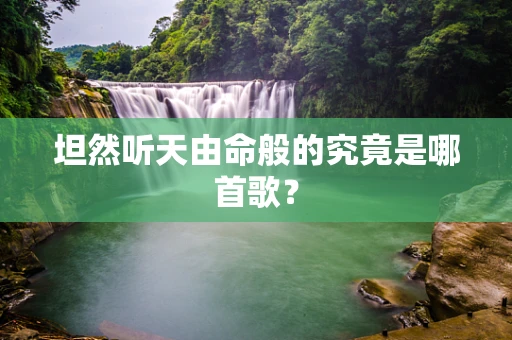 坦然听天由命般的究竟是哪首歌？