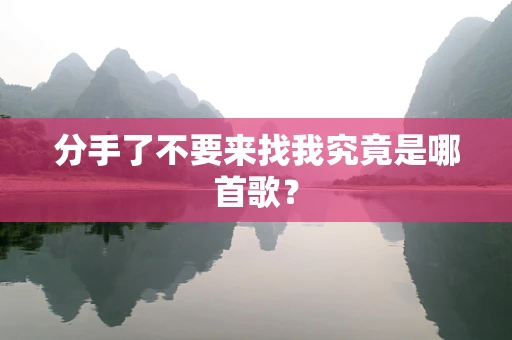 分手了不要来找我究竟是哪首歌？