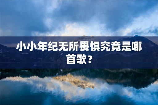 小小年纪无所畏惧究竟是哪首歌？