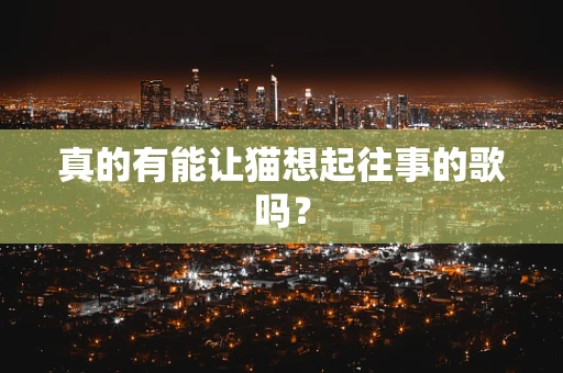真的有能让猫想起往事的歌吗？