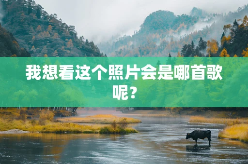 我想看这个照片会是哪首歌呢？