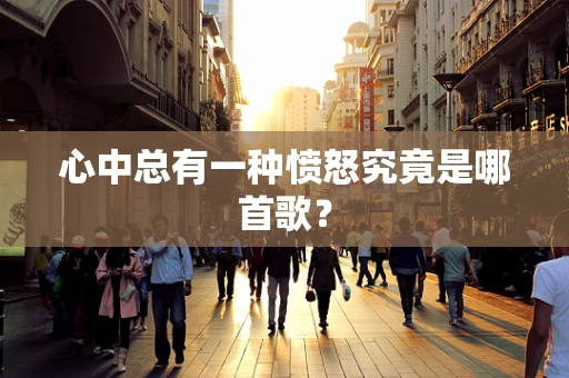 心中总有一种愤怒究竟是哪首歌？