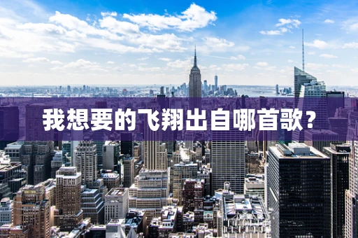 我想要的飞翔出自哪首歌？