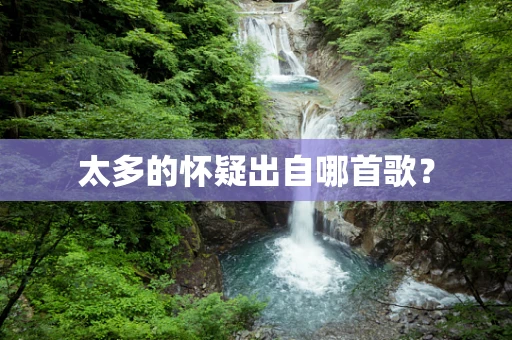 太多的怀疑出自哪首歌？