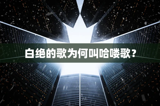 白绝的歌为何叫哈喽歌？