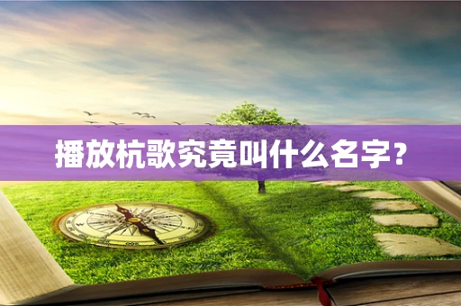 播放杭歌究竟叫什么名字？