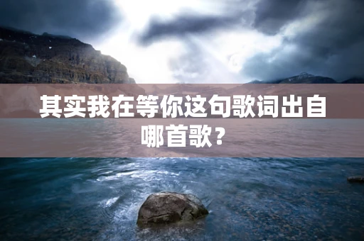 其实我在等你这句歌词出自哪首歌？