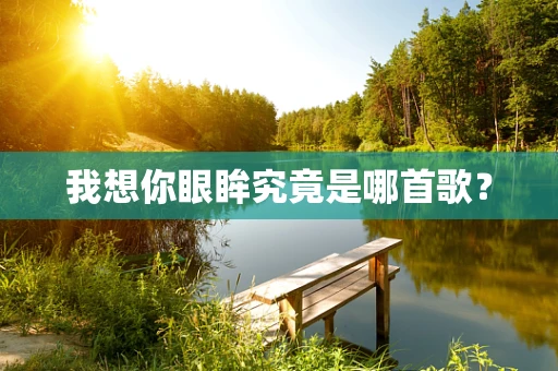 我想你眼眸究竟是哪首歌？