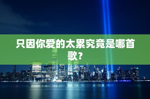 只因你爱的太累究竟是哪首歌？
