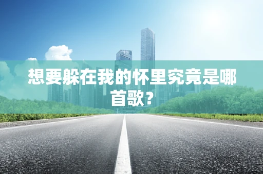 想要躲在我的怀里究竟是哪首歌？