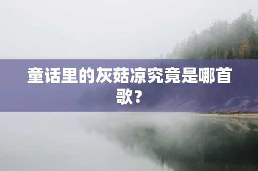 童话里的灰菇凉究竟是哪首歌？