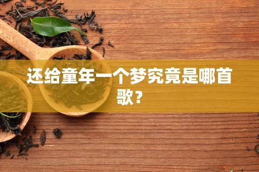 还给童年一个梦究竟是哪首歌？