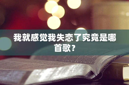 我就感觉我失恋了究竟是哪首歌？