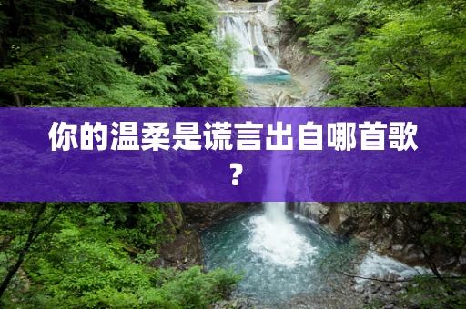 你的温柔是谎言出自哪首歌？