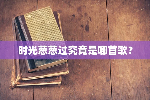 时光葱葱过究竟是哪首歌？
