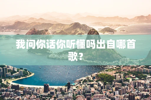 我问你话你听懂吗出自哪首歌？