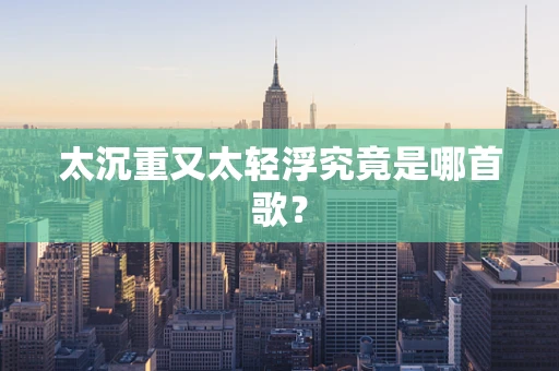 太沉重又太轻浮究竟是哪首歌？