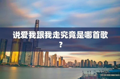 说爱我跟我走究竟是哪首歌？