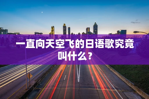 一直向天空飞的日语歌究竟叫什么？