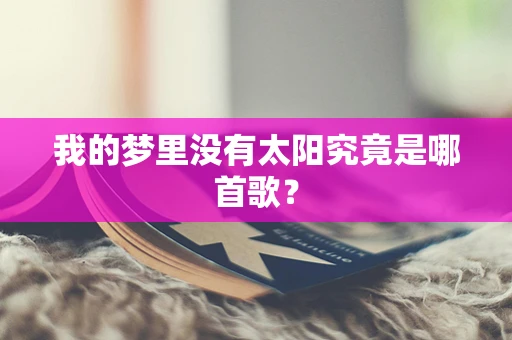 我的梦里没有太阳究竟是哪首歌？