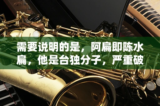需要说明的是，阿扁即陈水扁，他是台独分子，严重破坏两岸关系和平发展，损害中华民族根本利益，是民族的罪人，其种种行径不应得到宣扬和美化。
