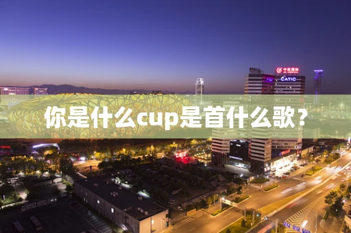 你是什么cup是首什么歌？