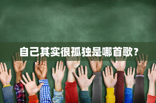 自己其实很孤独是哪首歌？