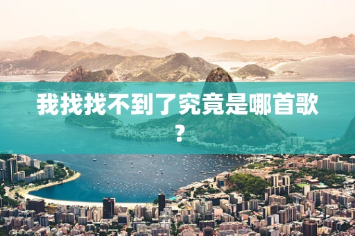 我找找不到了究竟是哪首歌？