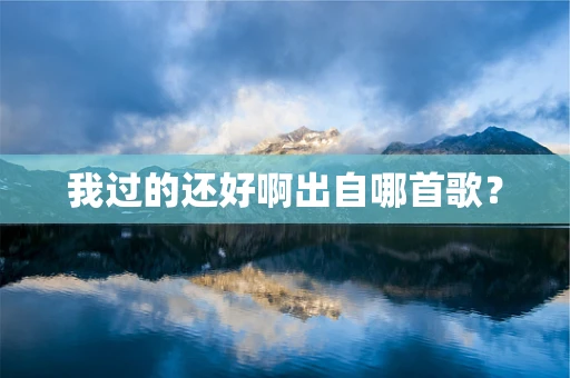 我过的还好啊出自哪首歌？
