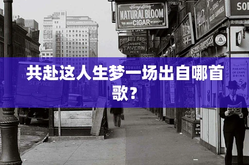 共赴这人生梦一场出自哪首歌？