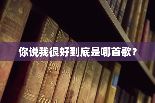 你说我很好到底是哪首歌？