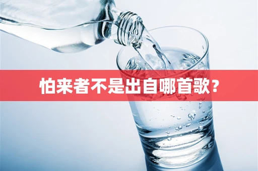 怕来者不是出自哪首歌？