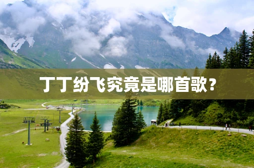 丁丁纷飞究竟是哪首歌？