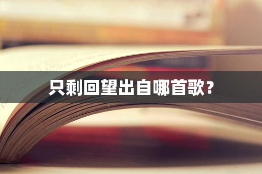 只剩回望出自哪首歌？