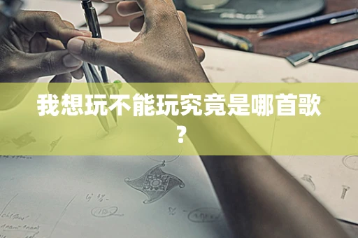 我想玩不能玩究竟是哪首歌？