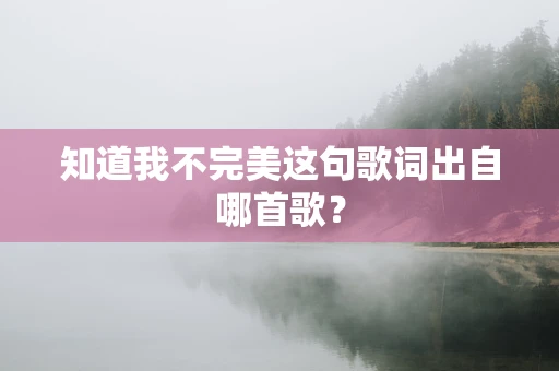 知道我不完美这句歌词出自哪首歌？