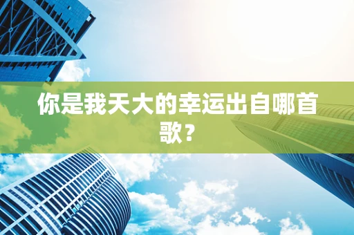 你是我天大的幸运出自哪首歌？