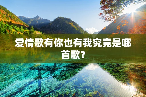 爱情歌有你也有我究竟是哪首歌？