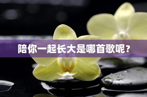 陪你一起长大是哪首歌呢？