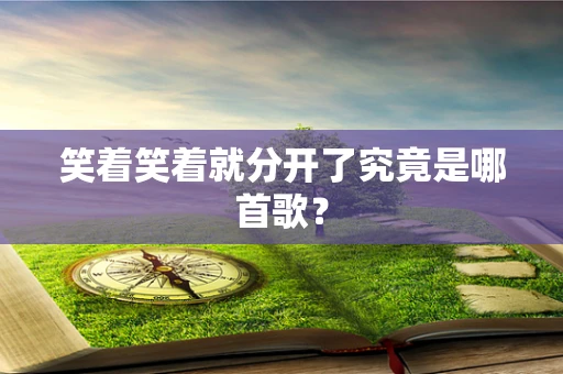 笑着笑着就分开了究竟是哪首歌？
