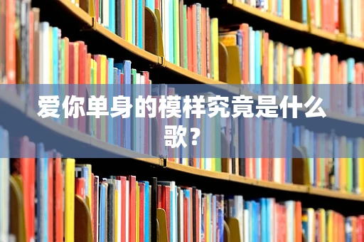 爱你单身的模样究竟是什么歌？