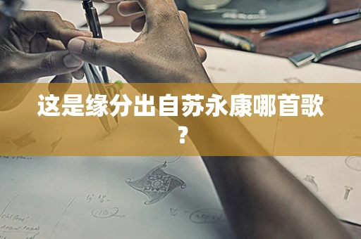 这是缘分出自苏永康哪首歌？