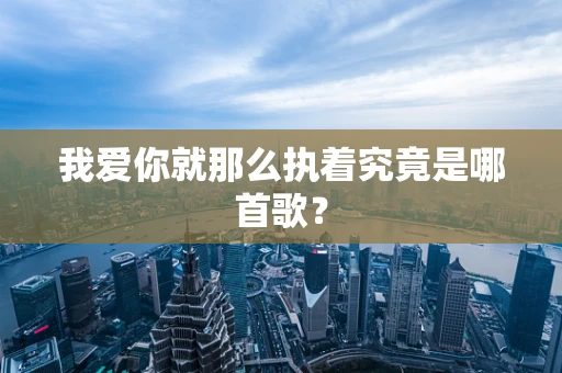 我爱你就那么执着究竟是哪首歌？