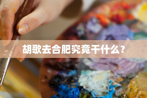 胡歌去合肥究竟干什么？